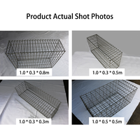 Panier en treillis métallique galvanisé soudé de haute qualité, produit par une usine professionnelle certifiée CE ISO, pour mur en pierre, table, poêle