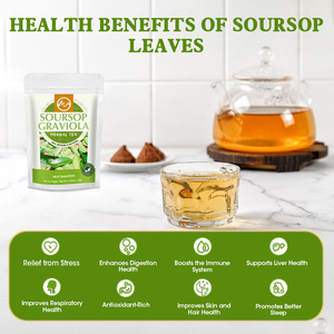 Pacote Personalizado OEM de Folhas de Graviola Orgânica Secas, 28 Saquinhos de Chá de Graviola para Digestão - Product Image 2