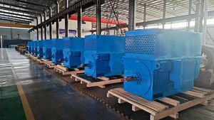 High Power Density 6kV/10kV High Voltage Induction Motor 3kV-13.8kV IE3 Efficiency for Heavy Duty Industrial Use HV Motor - Product Image 5