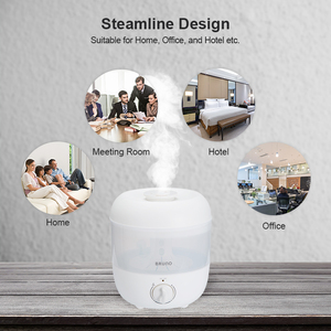 Humidificateur Diffuseur Électrique Nano Ultrasonique en Gros avec Hygromètre et Veilleuse Portable USB/Prise pour Maison, Camping-Car, Voiture et Utilisation Extérieure - Product Image 2