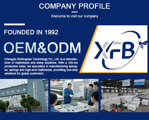 מסלול מנוע וילון חשמלי חכם עם זיגבי בקרת קול | וילונות אוטומטיים מודרניים לחדרי מגורים - Product Image 6