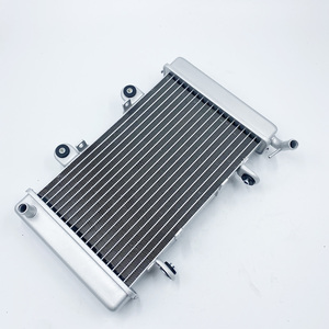 Nuevo radiador para <span class=keywords><strong>Shineray</strong></span> ST-9E Stixe a 250CC <span class=keywords><strong>ATV</strong></span> Quad radiador de refrigeración del ST9E tanque de enfriamiento de agua - Product Image 6