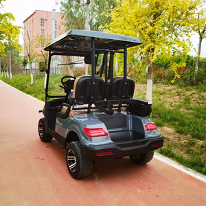 Voiturette de golf 2 places Premium 2025-Offre à durée limitée - Product Image 5