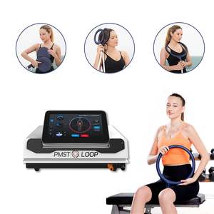 Professional PEMF Therapy Machine s Horses Magnetic Pulse Device Pain Relief Rehabilitation Scraping Apparatus - Product Image 1