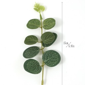 Nouvelle Collection 2026 – Décoration Végétale Artificielle en Eucalyptus et Feuilles <span class=keywords><strong>de</strong></span> Monnaie, Tige Unique, Vente Directe Usine, Plastique Renforcé avec Fil Métallique - Product Image 3