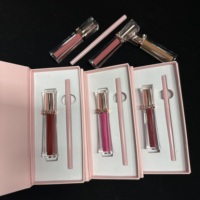 Ensemble de maquillage pour les lèvres 2 en 1, rouge à lèvres liquide et crayon à lèvres, ensemble de maquillage pour les lèvres en gros