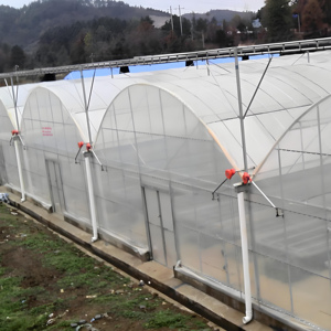 Serre de nouveau design, serre de <span class=keywords><strong>jardin</strong></span> moderne avec isolation élevée - Product Image 2