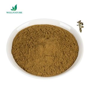 USDA 100% tự nhiên hữu cơ stinging cây tầm ma gốc chiết xuất bột cây tầm ma lá chiết xuất 1% Beta sitosterol bột Chất lượng cao - Product Image 2