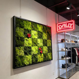 Art mural en mousse préservée sur mesure, fait main, naturel, encadré dans un cadre en bois, écologique, durable, pour la décoration de la maison, du bureau ou de l'hôtel - Product Image 4