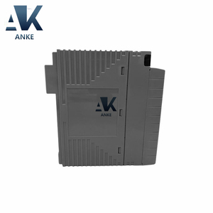 โมดูลเอาต์พุตแบบอะนาล็อก Yokogawa AAI543-H50 S1 - Product Image 2