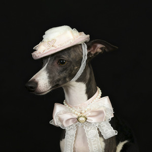 Sombrero de encaje noble con lazo <span class=keywords><strong>para</strong></span> gatos y <span class=keywords><strong>perros</strong></span> de <span class=keywords><strong>pelo</strong></span> <span class=keywords><strong>corto</strong></span>, accesorios retro de princesa con lazo, tocado <span class=keywords><strong>para</strong></span> bodas y cumpleaños - Product Image 2