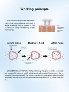 Machine de beauté DEP2-2S à électroporation supraconductrice non invasive pour le raffermissement cutané, introduction du produit DEEPBA - Product Image 5