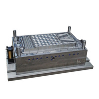 Moule d'injection plastique pour le corps de refroidisseur d'air, fabricant de moules d'injection