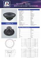 Haut-parleur néodyme B&C de 10 pouces pour systèmes audio de subwoofer intérieurs/extérieurs, système de sonorisation actif/passif, système de ligne acoustique
