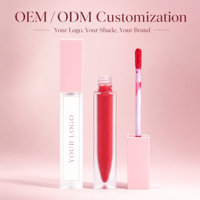 Vente en gros de cosmétiques, rouge à lèvres, logo de marque privée, tube DIY, 120 couleurs, gloss à lèvres minéral imperméable, maquillage