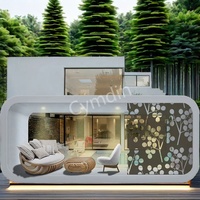 Cymdin Luxury 20 pieds 40 pieds Cabine de maison mobile préfabriquée Kits de petite maison pour l'extérieur Bureau Panneau sandwich de haute qualité