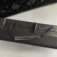 Rampe de voiture pliable moderne pour animaux de compagnie, design pliable pratique pour un accès facile à la voiture