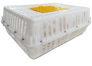 <span class=keywords><strong>Cage</strong></span> de <span class=keywords><strong>transport</strong></span> de poulet en plastique de 75*55*27cm pour oiseaux adultes - Product Image 5