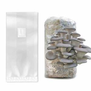 Sacs de culture de champignons extra épais de grande taille 0,08 mm, autoclavables, en polypropylène, pour substrat - Product Image 1