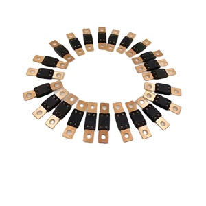 32V mega-cầu Chì Ô Tô Cầu Chì 30A 40A 50A 60A 70A 80A 100A 120A 125A 150A 175A 180A 200A 225a 500A 32vdc Mega bu lông xe cầu chì - Product Image 1