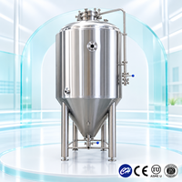 Cuve de Fermentation de Bière Tonsen 100L avec Contrôle PLC 220V 400V Certifiée CE – Équipement de Brassage Personnalisable