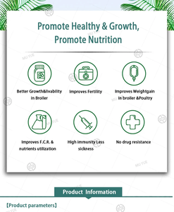 Vitamin and Mineral Supplement Multivitamin Premix <b>Feed</b> <b>Additive</b> Poultry Appetizer - Product Image 3