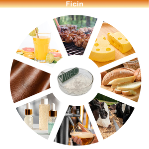 Enzima Ficin 5.000u/g ad Alta Attività, Polvere Pura di Enzima Figase, Estratto di Fico, Grado Alimentare, Scadenza 2 Anni, Fornitura Diretta dalla Fabbrica - Product Image 3