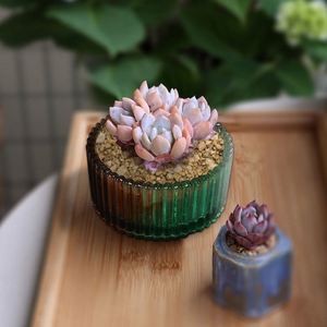 Fast Delivery New Style Round Striped Storage <b>Box</b> Resin Silicone Mold DIY Crown Shape Crystal <b>Cake</b> Tools - Product Image 3