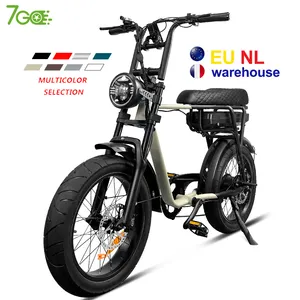 7Go EB4 EB2 20 Inch fat tire e-bike Custom Electric fat Bike retro electric bicycle with long seat electric bike
