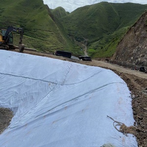 Géotextile en polypropylène de haute qualité de Chine pour les fondations de routes d'aéroport - Product Image 5