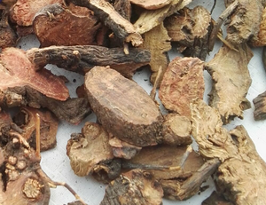ราก Burnet สำหรับตัดสมุนไพรจากสวนจีนดิบแห้งจาก Di Yu - Product Image 5