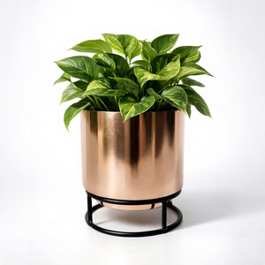 Pot de fleurs en métal finition cuivre avec support, pot rond décoratif pour plantes d'intérieur, pour la maison et le bureau, pot à fleurs élégant pour le salon - Product Image 1