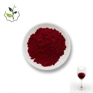 Meilleur prix, extrait de vin rouge de qualité alimentaire en poudre, emballé en fût - Product Image 1