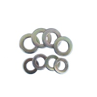 Mild Steel DIN125 Flat Washers Zinc Plated Low Price Made in China