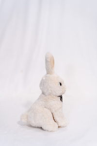 7.5-inch siêu mềm dâu thỏ căng thẳng cứu trợ đồ chơi sang trọng màu Cam cà rốt Thú nhồi bông cho trẻ em - Product Image 4