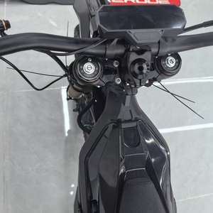 <span class=keywords><strong>Oltre</strong></span> le Confini: Presentazione dell'Arctic Leopard XE PRO S 72V55Ah con Potenza di Picco di 20KW. L'Apice della Prestazione Fuoristrada Elettrica - Product Image 6