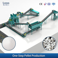 Ligne de granulation d'engrais organique à base de fumier animal 1-3T/H entièrement automatique pour granulés oblates sphéroïdaux