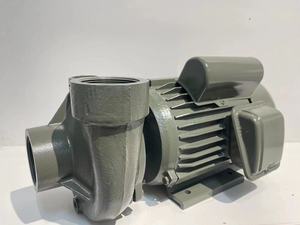 Trung Quốc Nhà Máy bán hàng trực tiếp <span class=keywords><strong>px</strong></span> loạt gang Bơm ly tâm 100% đồng quanh co nóng bán ở Nepal - Product Image 2