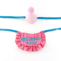 Ensemble chapeau et bavoir de fête d'anniversaire pour chien Bandana chat en polyester classique pour l'été et l'hiver Bichon Pet Supplies Accessories