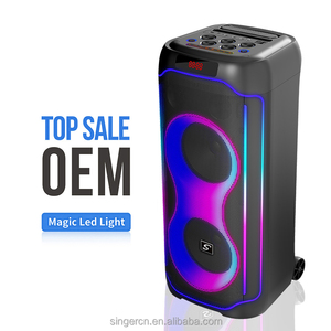 CQS-S6611 Enceinte DJ professionnelle double 8 pouces en plastique avec éclairage RGB, 2 microphones sans fil, promotion usine, grand karaoké - Product Image 3