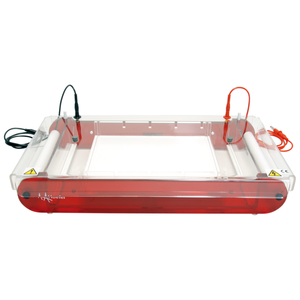 होफर प्रयोगशाला मिनी पनडुब्बी क्षैतिज आगोरेली जेल इलेक्ट्रोफोरेसिस यूनिट बायोमोलेक्यूल्स डाना न्यूक्लिक एसिड इलेक्ट्रोफोरेसिस - Product Image 3