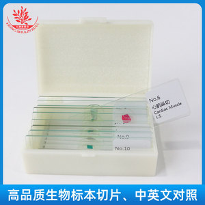 Ten types of <b>microscopic</b> specimens for cell biology experiments, freshly stained, classic teaching slides. - Product Image 3
