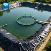 Géomembrane HDPE anti-UV, épaisseur multi-tailles personnalisable, revêtement imperméable pour applications en pisciculture et en étangiculture, génie civil