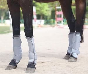 घोड़े के लुभावनी घोड़े के लिए थोक मक्खी जूते - Product Image 6