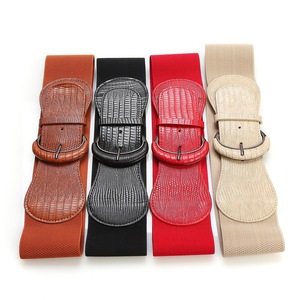 Ceinture décorative pour femme, nouvelle collection 2025, imprimé léopard, élastique, en cuir polyvalent, offre exclusive transfrontalière personnalisée - Product Image 2