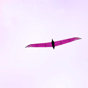 2026 Nuevo Cometa Personalizado de Fábrica, Fácil de Volar, Más Vendido, Grande, Cometa Cuchillo Pájaro 4m - Product Image 4