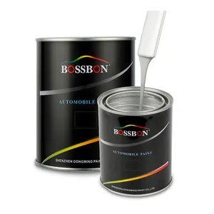 BOSSBON EAGLES high quality mirror paint Mirror Silver paint surface coating for glass coating Chrome Silver pigment