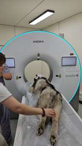 Scanner CT vétérinaire haute stabilité HC-D021E VET à 32 coupes avec une imagerie claire pour un diagnostic précis des animaux - Product Image 2