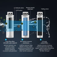 600G 800G purificateur d'eau RO intégré système d'osmose inverse filtre à eau potable directe pour cuisine ménage