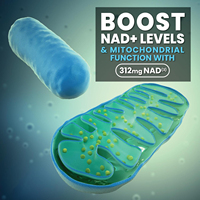 Capsules Premium NAD+ Booster avec Nicotinamide Riboside et Resvératrol 7-en-1 pour la Vitalité Cellulaire et un Vieillissement Sain